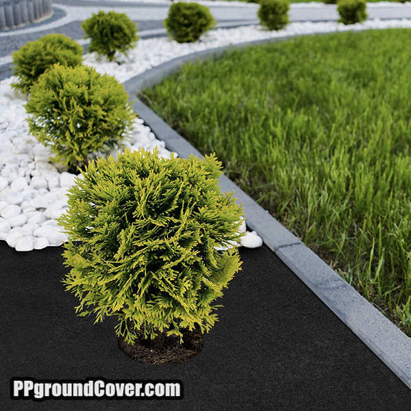 PP ground cover fabric for landscape