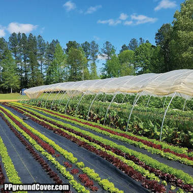 PP ground cover for greenhouse