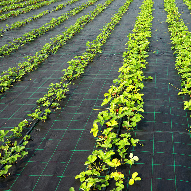 weed barrier fabric woven pp ground cover-13